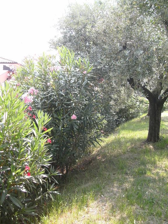 B&B Agli Ulivi Manerba del Garda Exterior photo