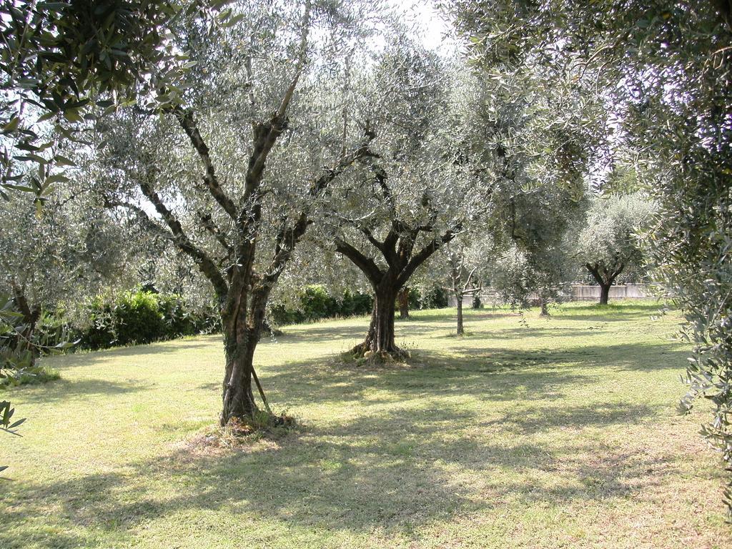 B&B Agli Ulivi Manerba del Garda Exterior photo
