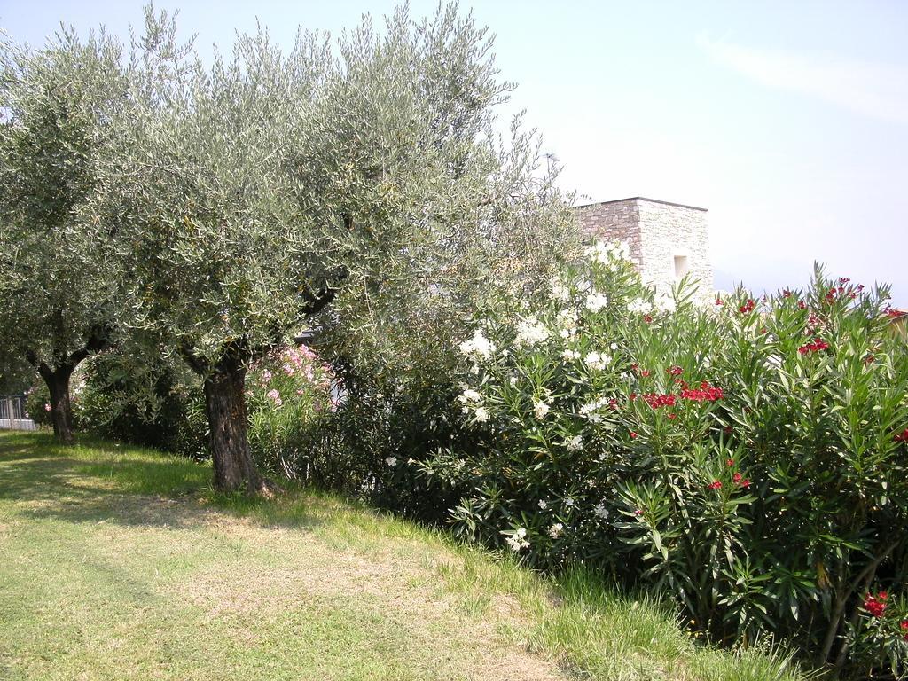 B&B Agli Ulivi Manerba del Garda Exterior photo