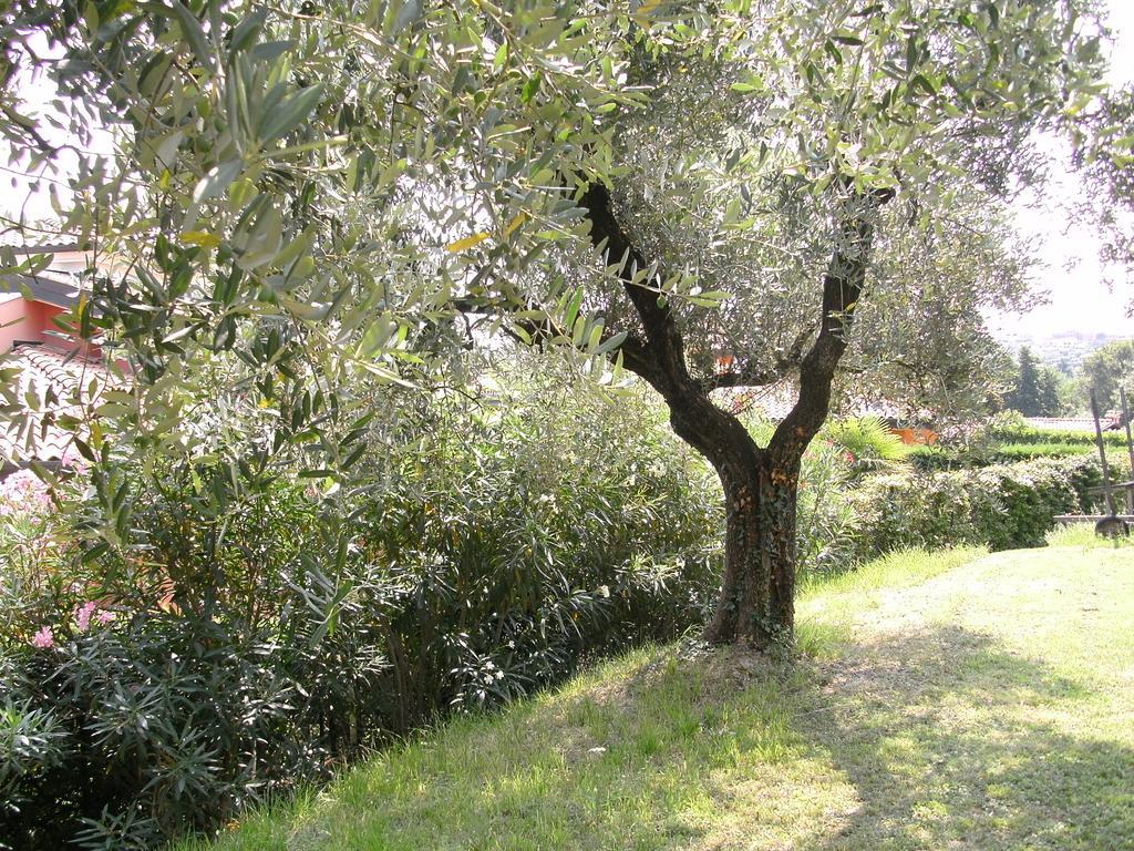 B&B Agli Ulivi Manerba del Garda Exterior photo